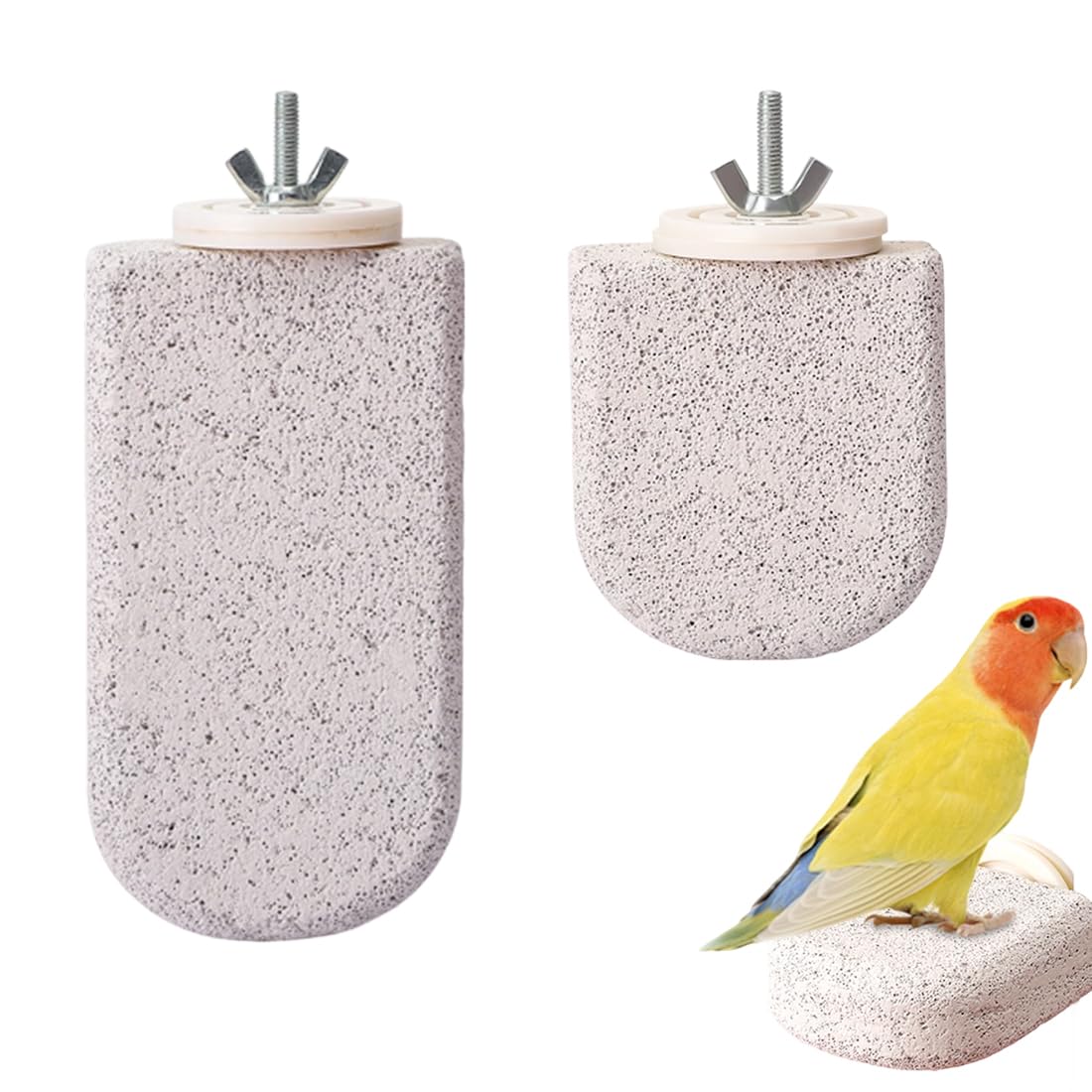 Lot de 2 Supports pour Os de Seiche Oiseaux, Pince Porte-Nourriture pour Cage, Clip de Fixation Fruits et Légumes, Accessoires pour Perruches, Canaris et Perroquets