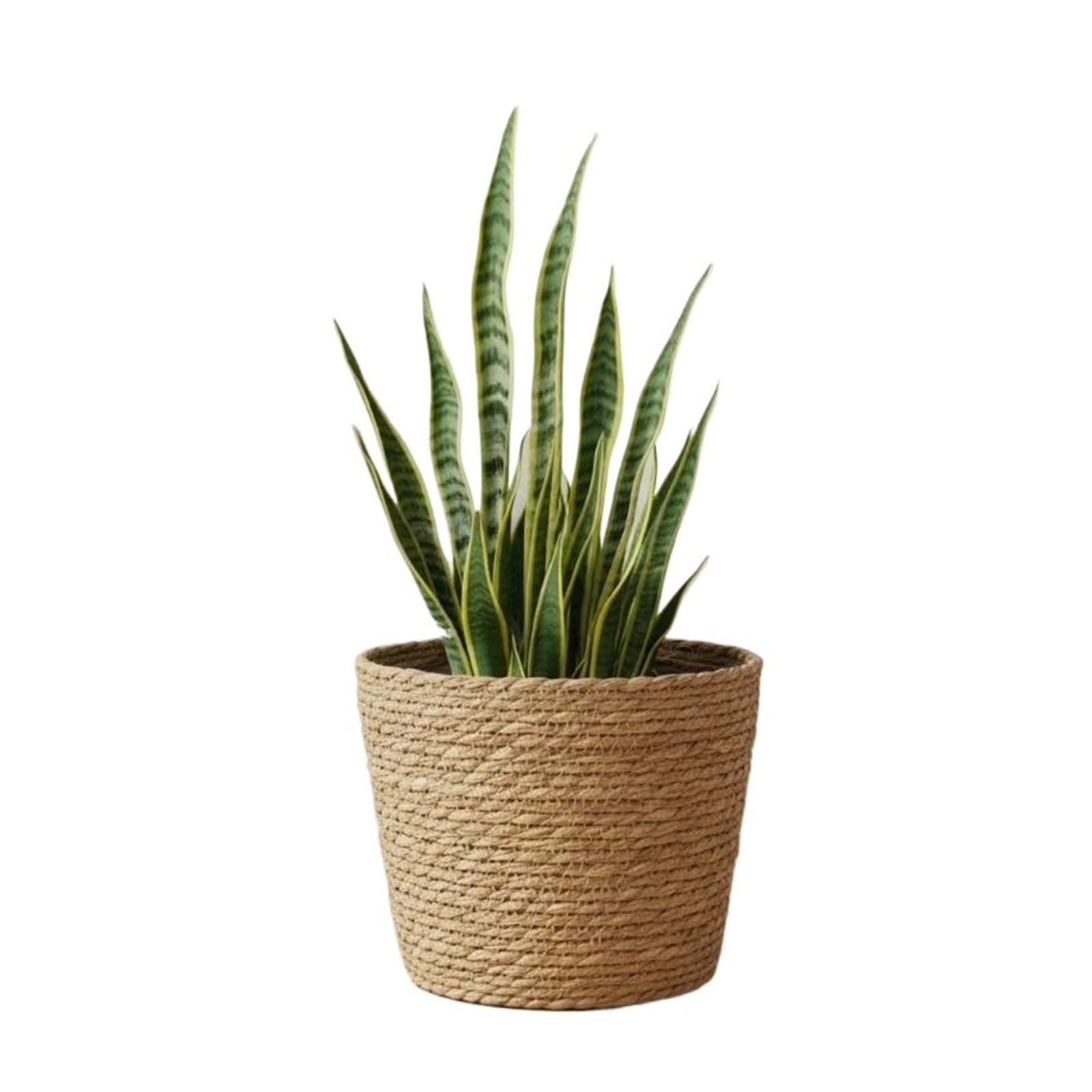 LuoAXINN Woven Straw Flower Pot 1Pcs Planter Basket Flower Pot Rattan Straw Woven Flowerpot Mini/S/M/L Furniture Decoration for Garden Terraces