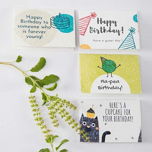 Habitage Seed Paper - Tarjetas de felicitación de cumpleaños  Juego de 12 tarjetas plantables ecológicas con sobres y caja de regalo  Paquete