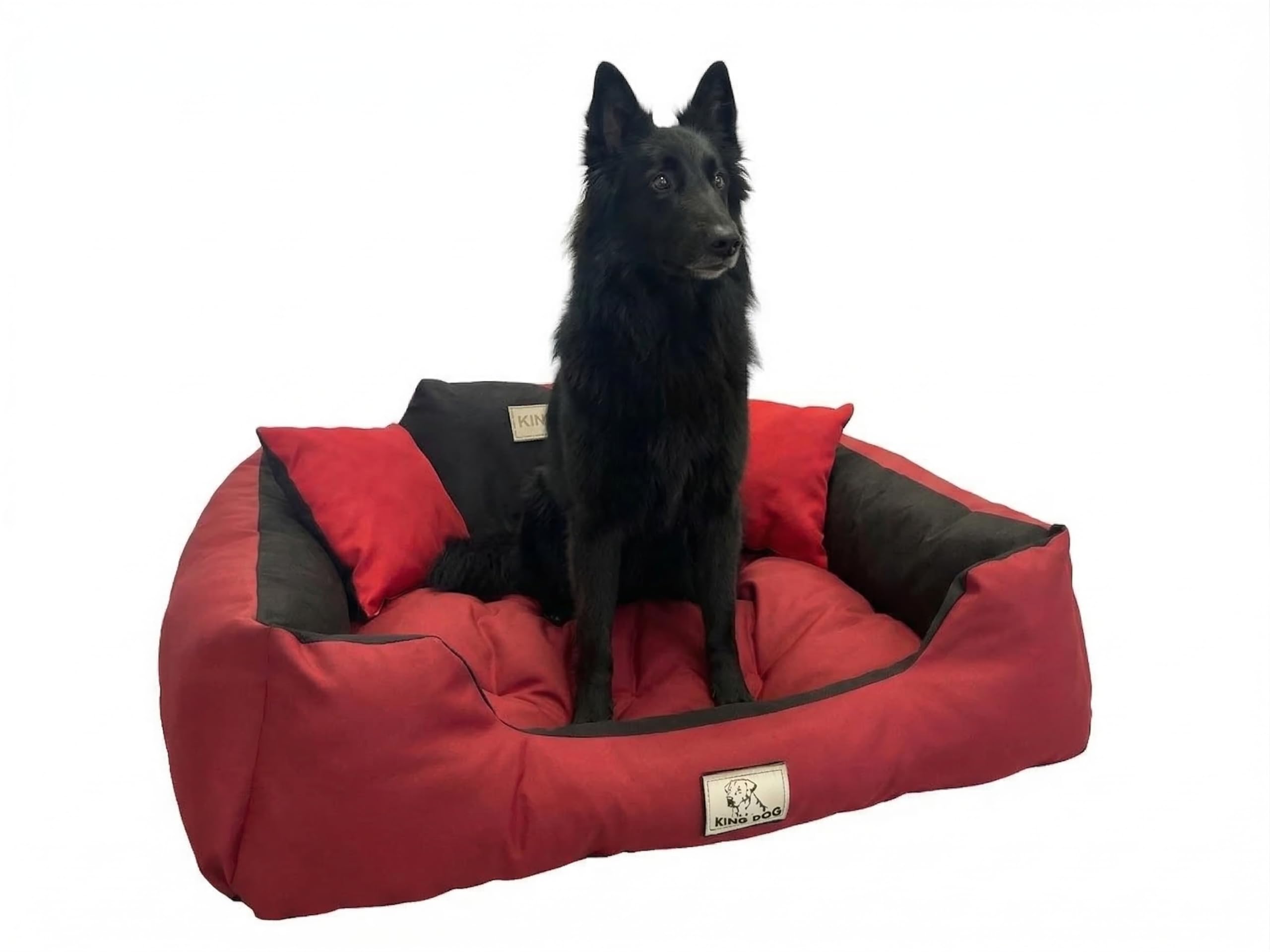 Concept Crystal Durable Waterproof Dog Bed Codura Top - Soft Silicone Fibre Fill Like Duvet - Eco Anti-Allergic - Easy Wash 30°C No Spin - Handmade in Poland - 6 Sizes S to 3XL - KING DOG