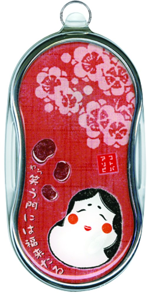 To służy Fukurai lupa mobilna LED z lupą (import z Japonii)