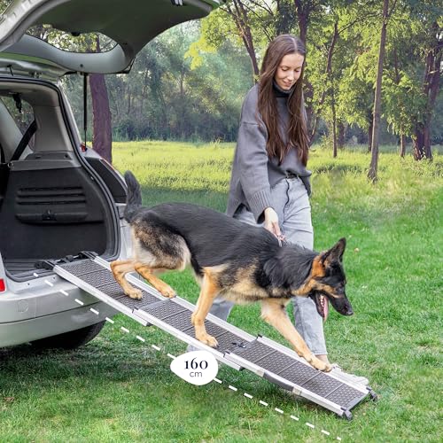 Hunderampe Auto Klappbar - Stabile und rutschfeste Hundeleiter Auto & SUV bis zu 90kg Belastbar - Teleskop Alu Rampe für große Hunde - Reflektierende Seiten - Hundetreppe - Befestigungsclip - Grau
