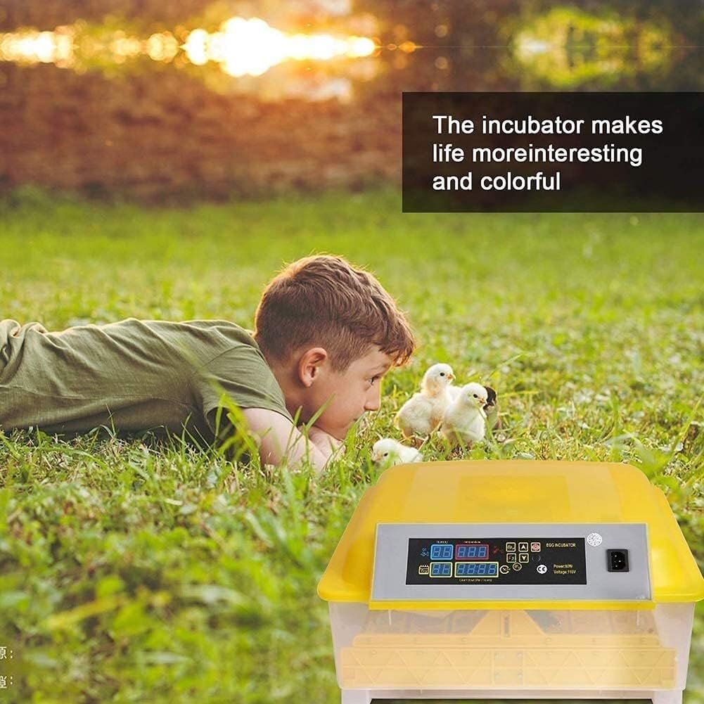 Inkubator cyfrowy Hodowla w automatycznym inkubatorze drobiu na 48 jaj(Single power supply)