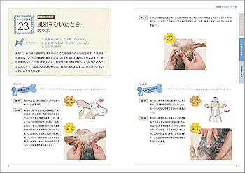 犬のツボ押しBOOK―ワンちゃんの病気予防と健康管理に | 石野 孝