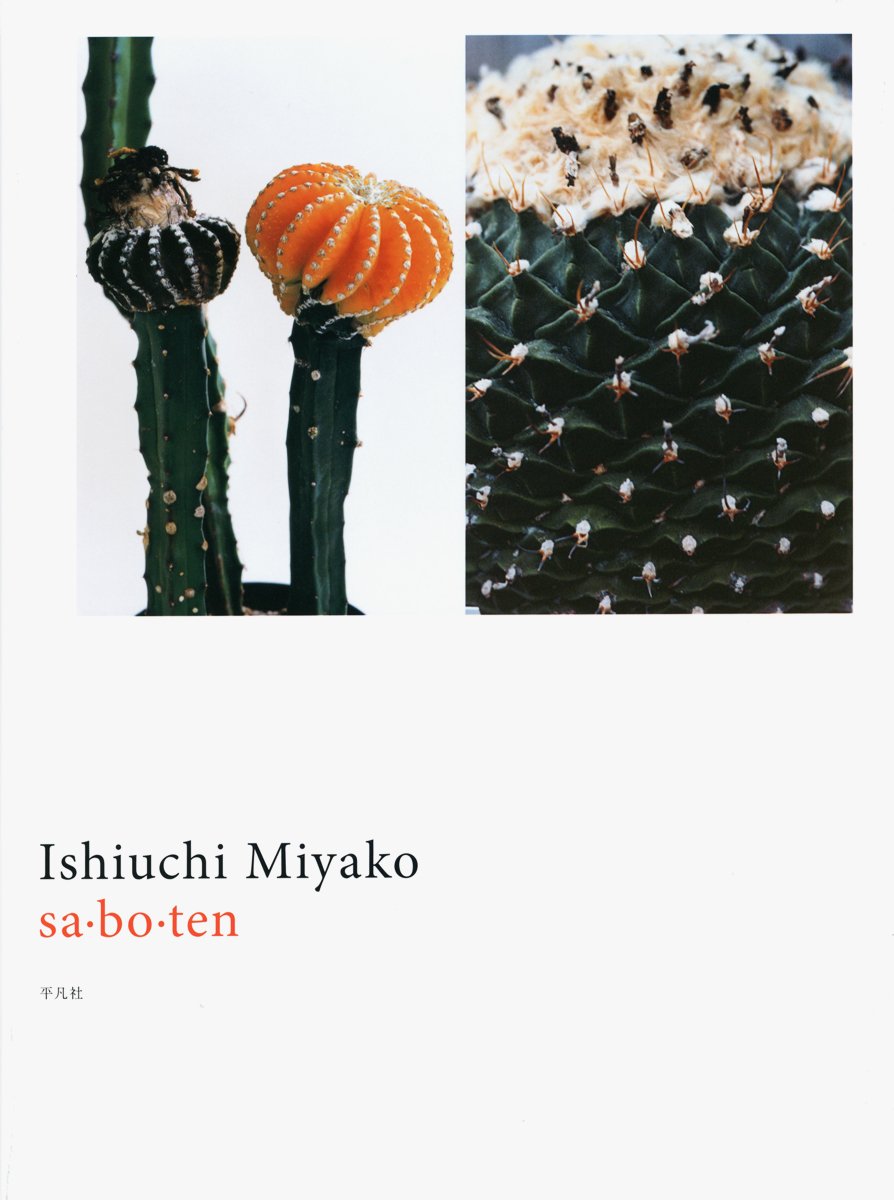 sa・bo・ten / Ishiuchi Miyako 石内都 サボテン写真集 619n2cP9xpL.jpg