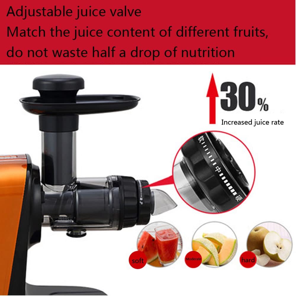 ERoomQ Horizontal Single Auger Slow Masticating Juicer Extractor Compact Cold Press Juicer Machine for High Nutrient Fruit and Veggies Juice High Yield Anti-Oxidation Quiet