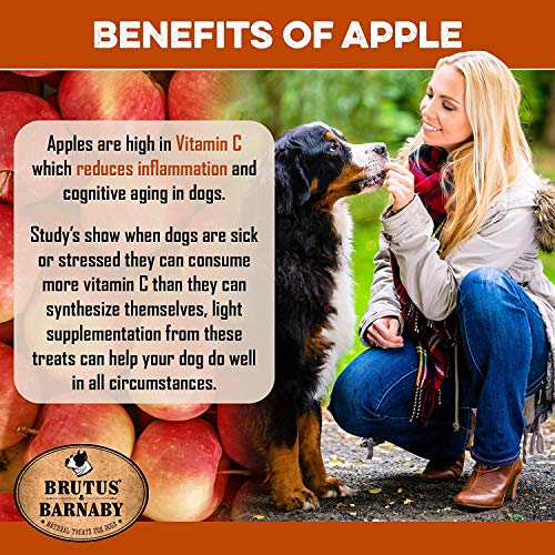 Sweet Potato Dog Treats - Crunchy Grain Free Cinnamon Apple Sticks, Promotes Positive Gut Health with Natural Anti-Diarrhea Properties (Cinnamon & Apple, 8 oz) - Thumbnail 4
