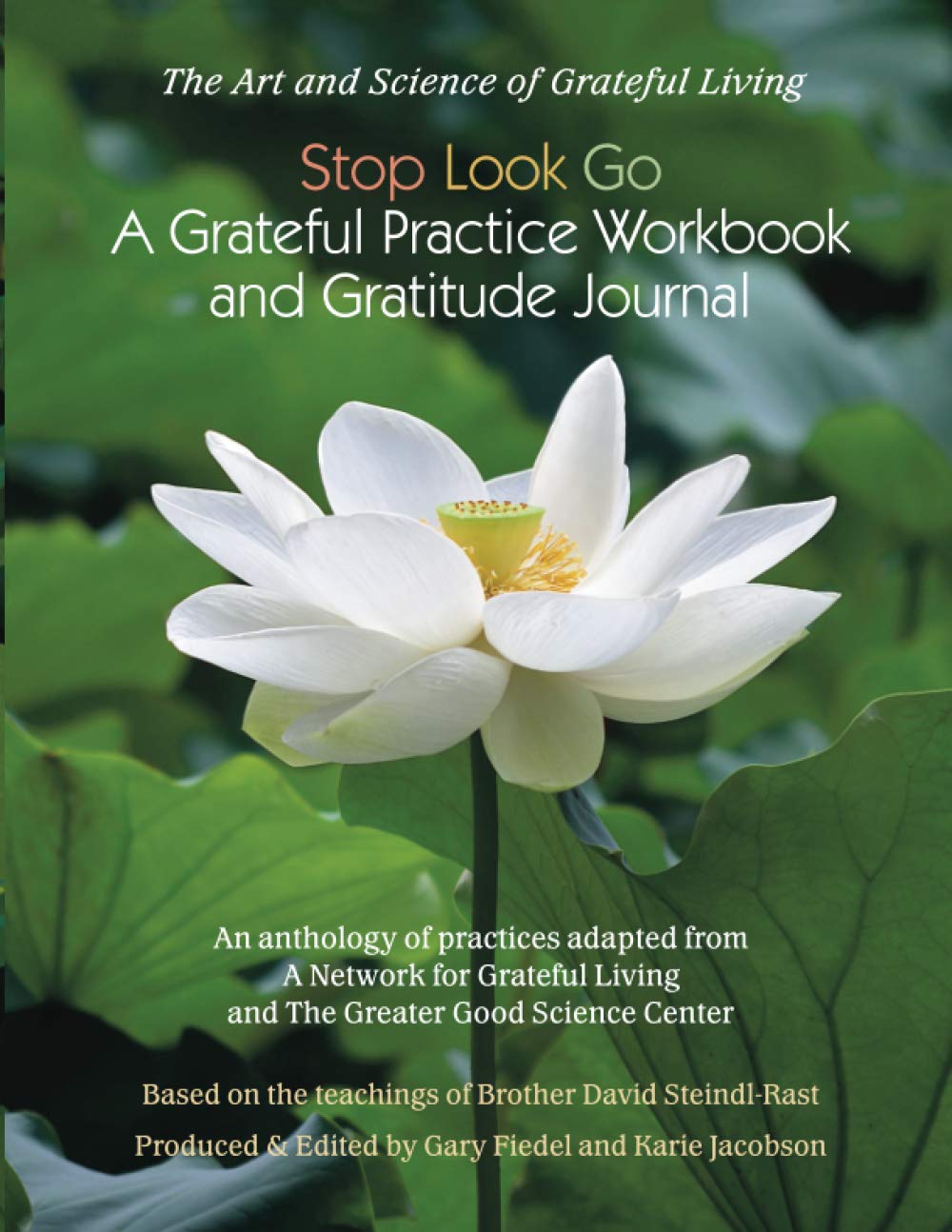 Stop Look Go: A Grateful Practice Workbook and Gratitude JournalA Grateful Practice Paperback – December 16, 2020