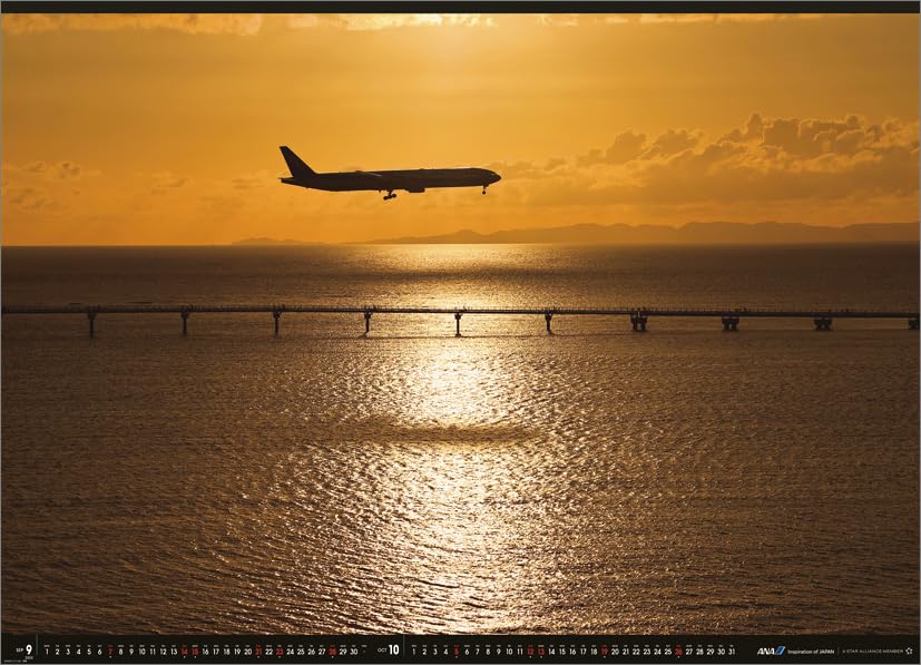 Amazon.co.jp: ANA「スーパーフライト」(特大版） 2025年