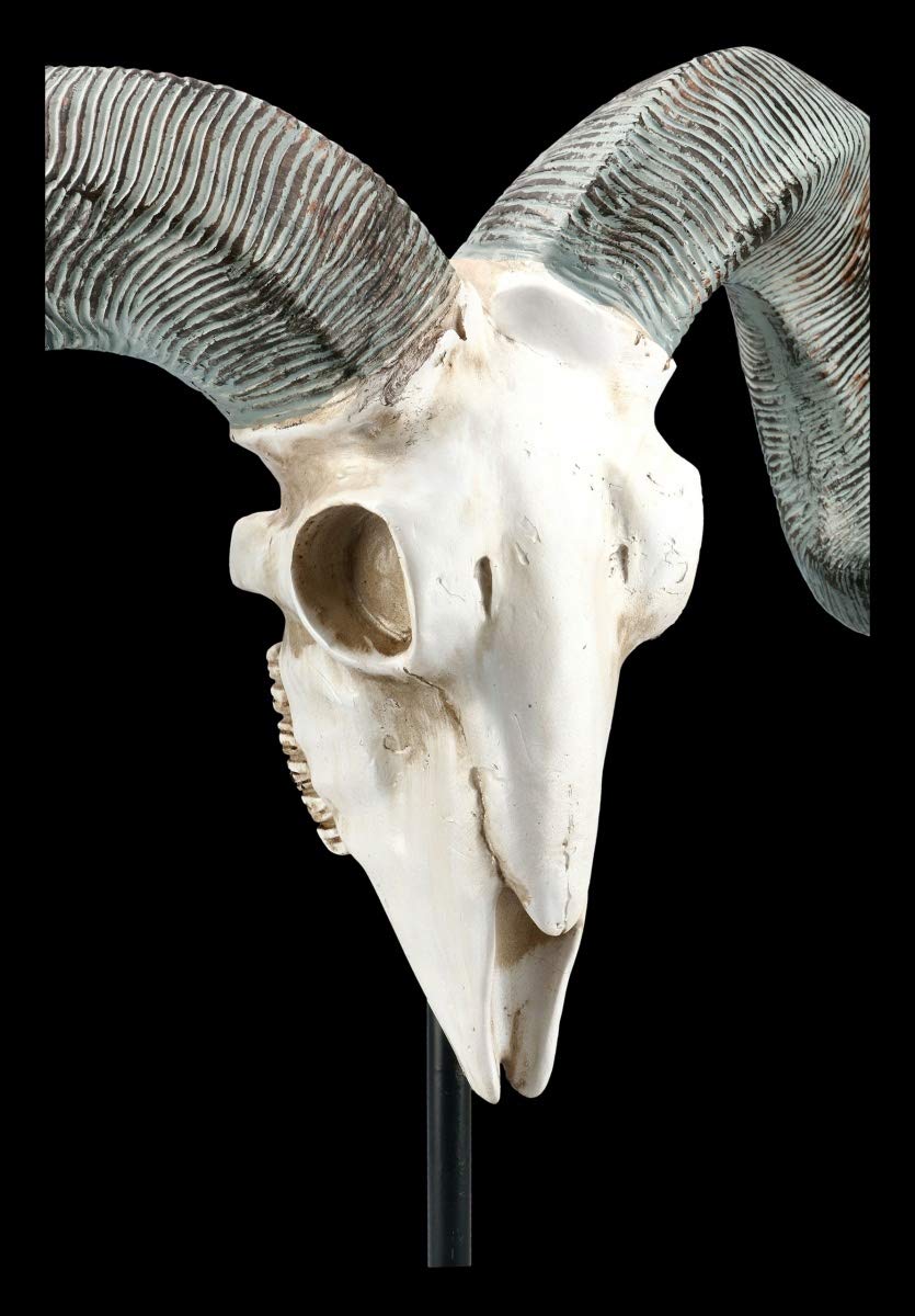 Figuren Shop GmbH Widder Gothic Totenkopf auf Metall Ständer | Fantasy Skull, Dekofigur, Tierfigur, Dekoartikel, Skulptur, Statue, H 46 cm