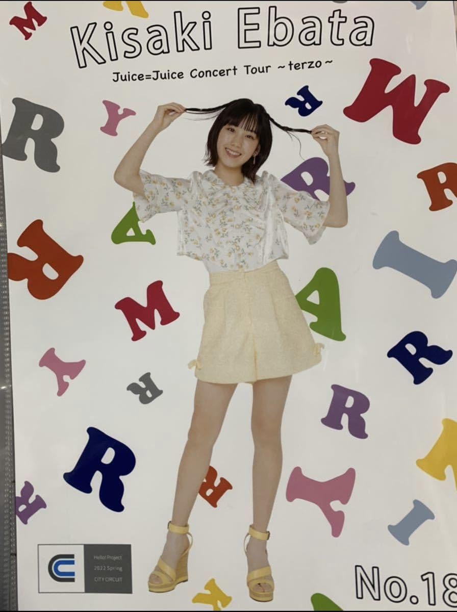 Amazon.co.jp: 江端妃咲 18 コレクションピンナップポスター ピンポス