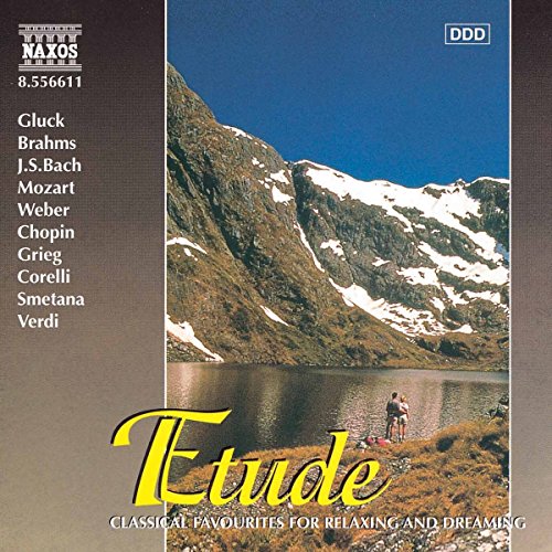 Etude - Classical Favourites For Relaxing And Dreaming