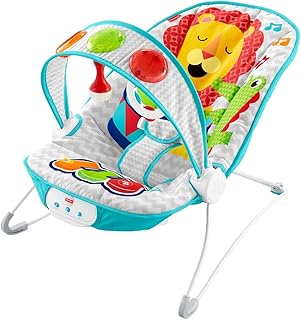 fisher price 2 in 1 bouncer