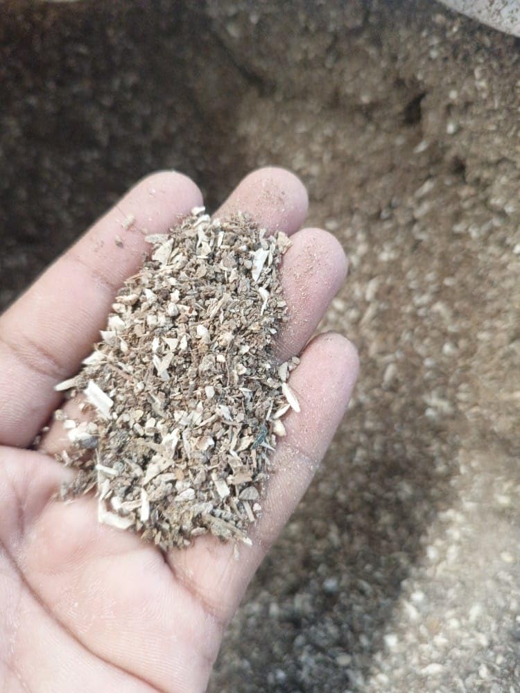 Natural Bone Meal Supplement for Rooftop Greenhouses, Excellent Soil Amender for Protecting Young Seedlings, Complete Nutritional Provider for Healthy Home Crops (Pack Of 250g)-image-27