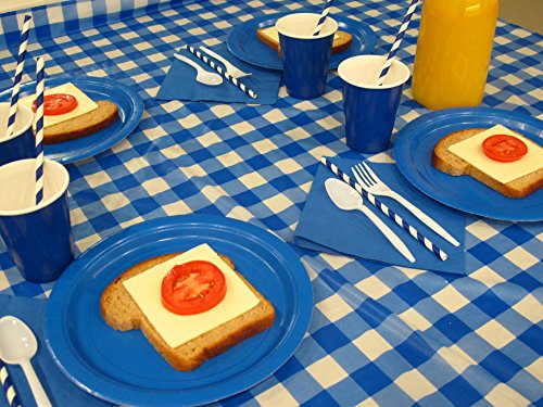 Blue Gingham Picnic / Party Plastic Tablecloth Roll, Disposable Picnic Colored Table Cloth On A Roll With Self Cutter Box,Cut Tablecloth To Your Own Table Size,Indoor/Outdoor, By Clearly Elegant #TOP7
