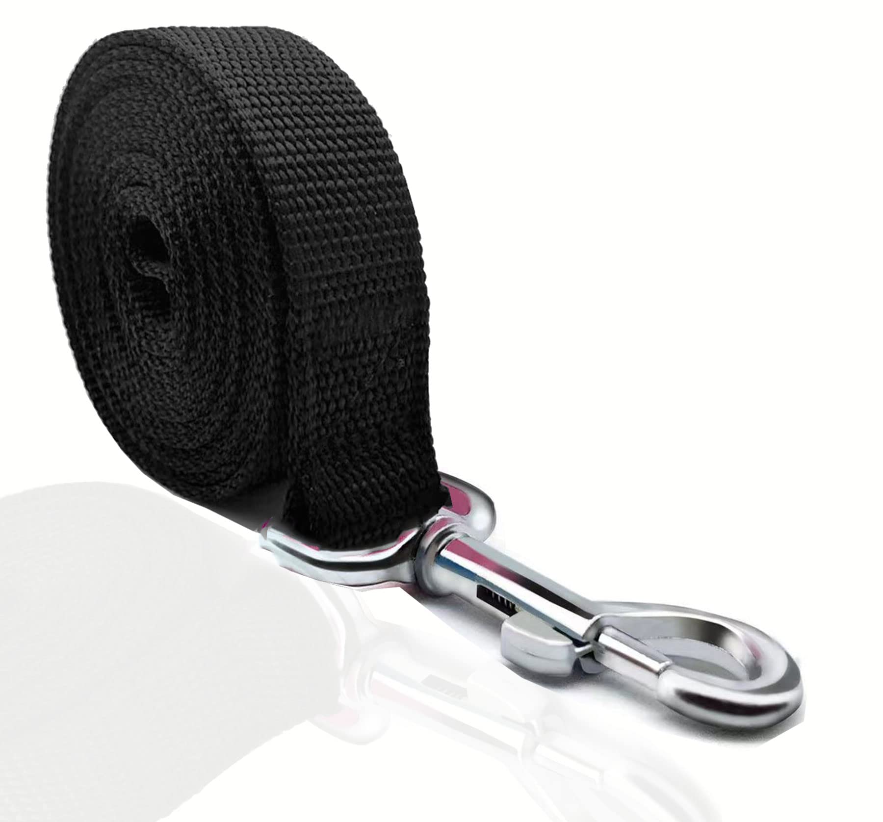 TAIAN 4FT/5FT/6FT Strong Dog Leash, Nylon Dog Leashes for Small Medium Large Dogs (Black, 1 in x 10 ft)