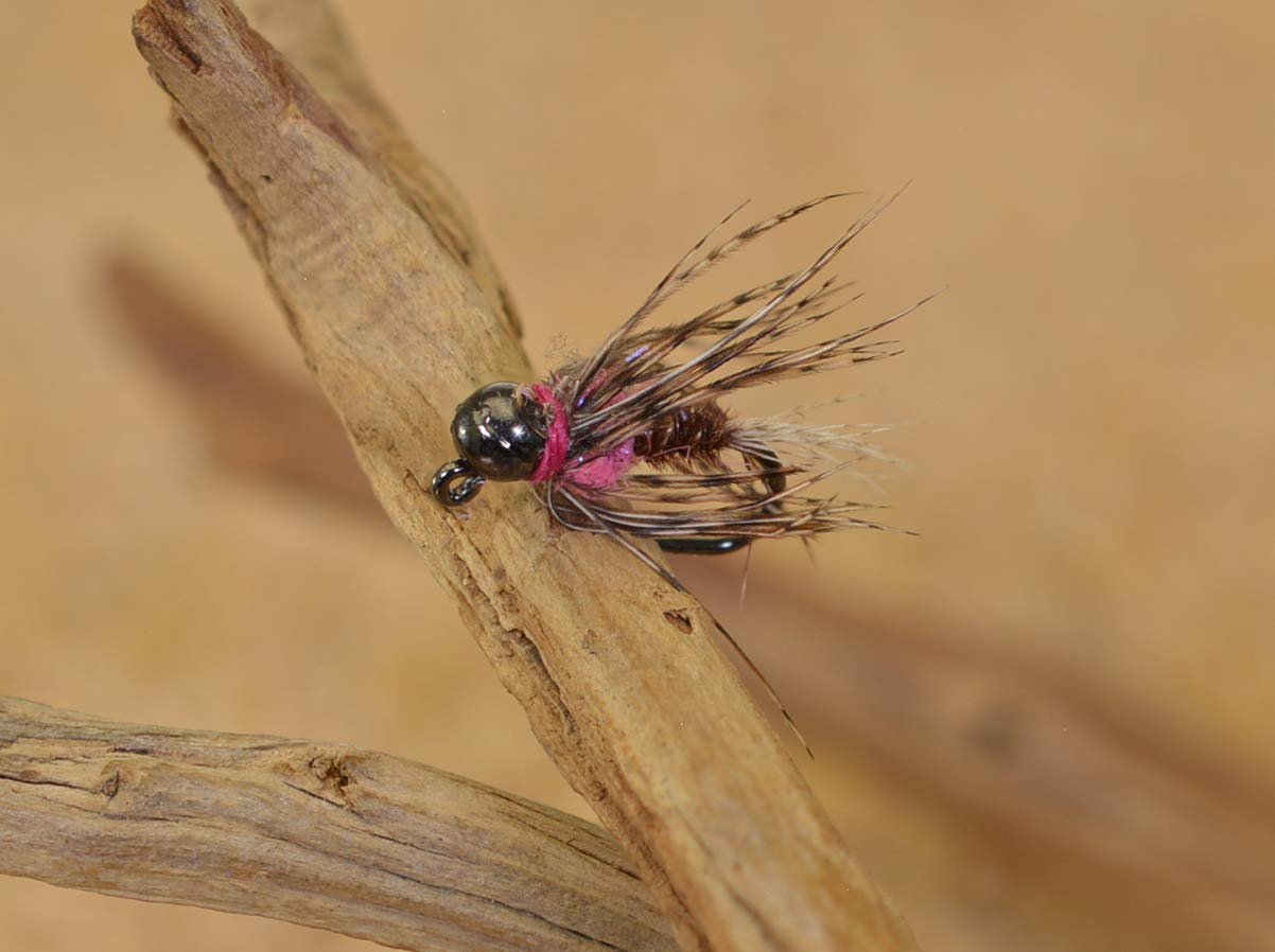 Tungsten Bead Frenchie Jig Fly - Euro Nymph Flies - Hanak Hooks