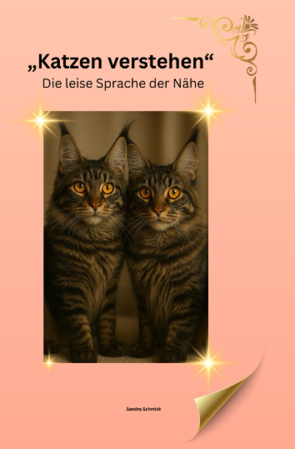 Katzen verstehen & pflegen: Das große Praxisbuch für Gesundheit, Verhalten & Alltag