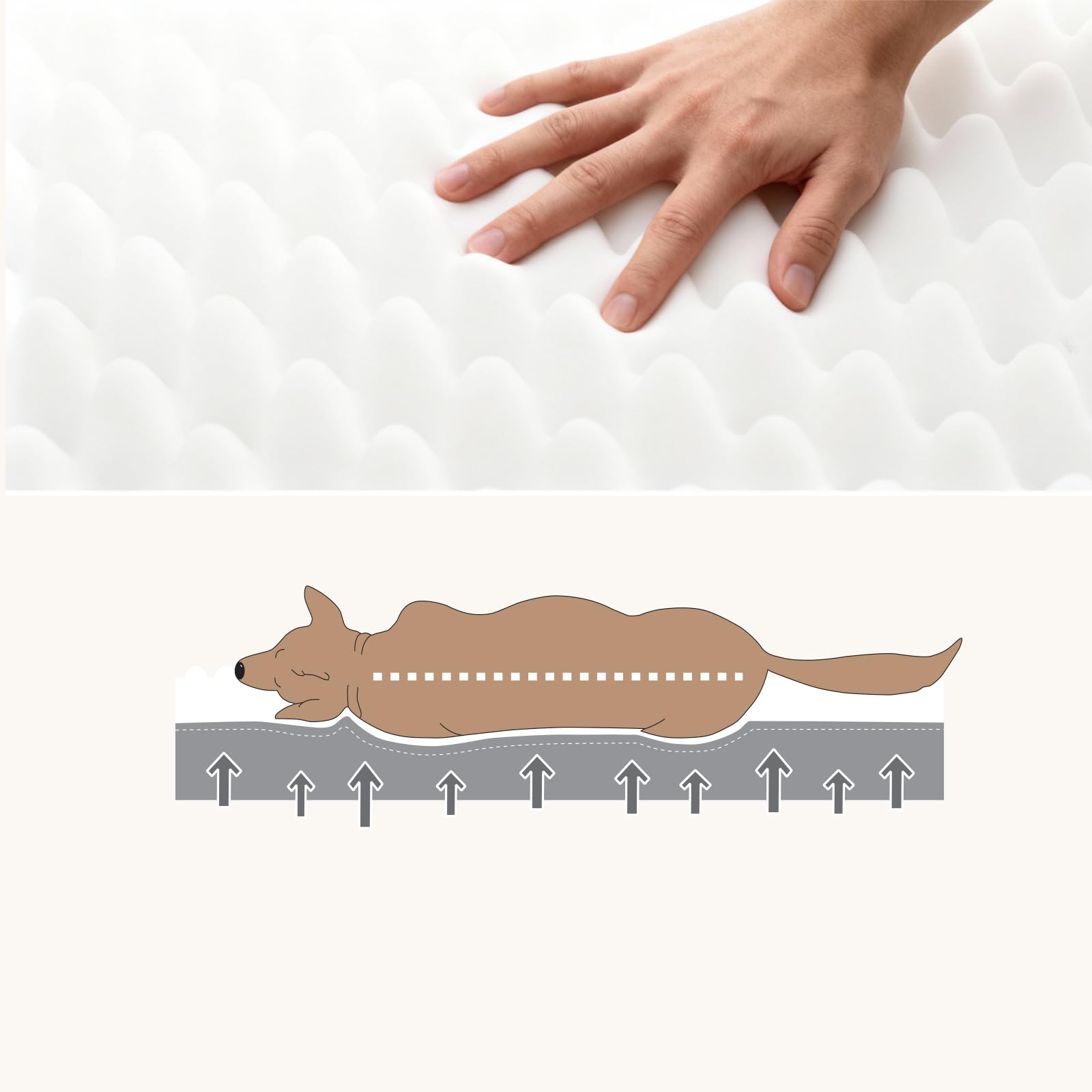 WAVVE Cuccia Cane Grande Ortopedica 112x81x7.6 cm, Cuscino per Cani interno indistruttibile XL, Letto per Cani Sfoderabile Lavabile Impermeabile, Materassino per Cani in Uovo Foam, Grigio