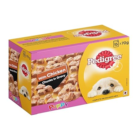 Pedigree Puppy Dog Food, Chicken Chunks in Gravy, 70 g (Pack of 15)