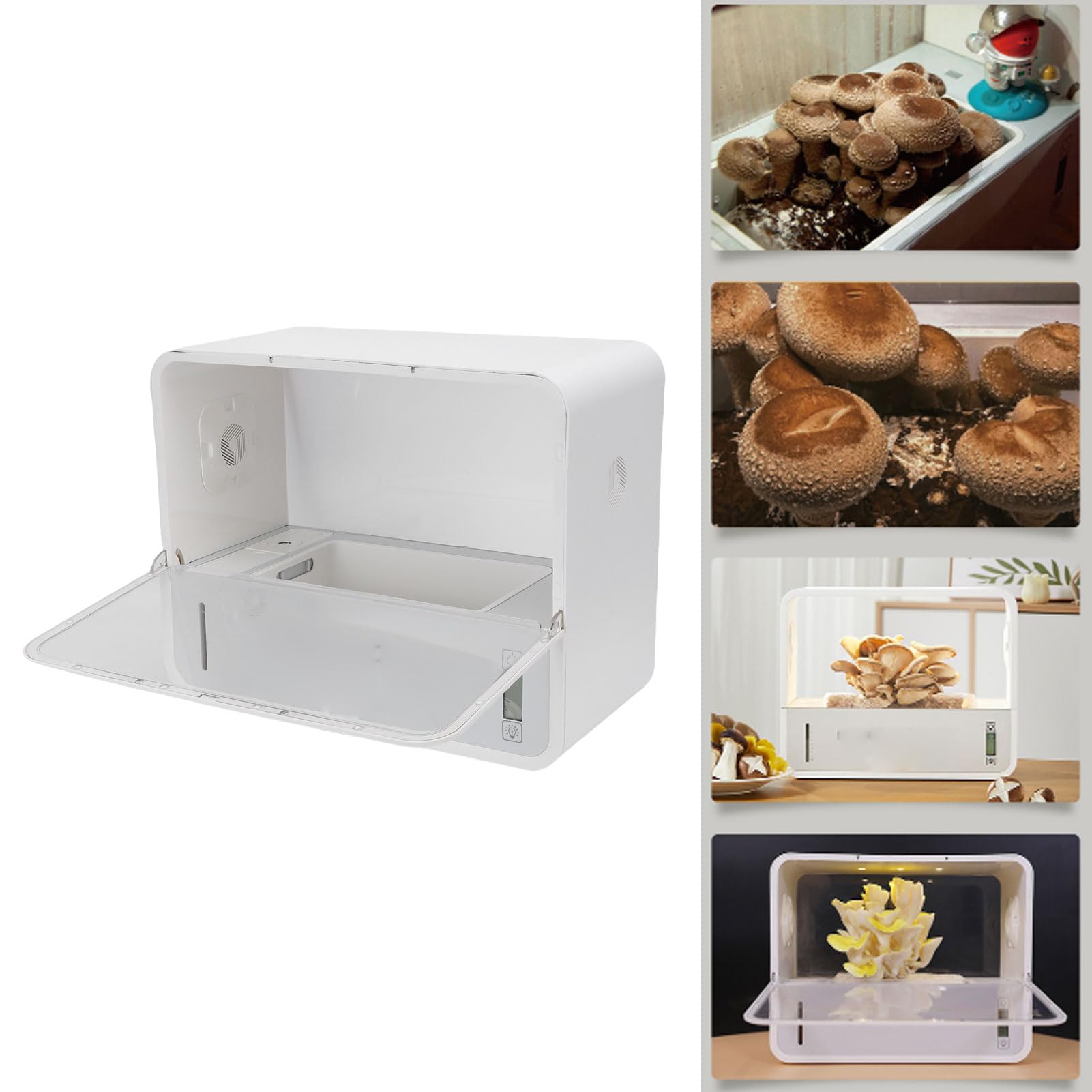 Brrnoo Kit de Culture de Champignons Intelligent, Humidificateur Automatique et Contrôle de la Température, Interface Anglaise, Boîte de Culture de Champignons en Intérieur avec