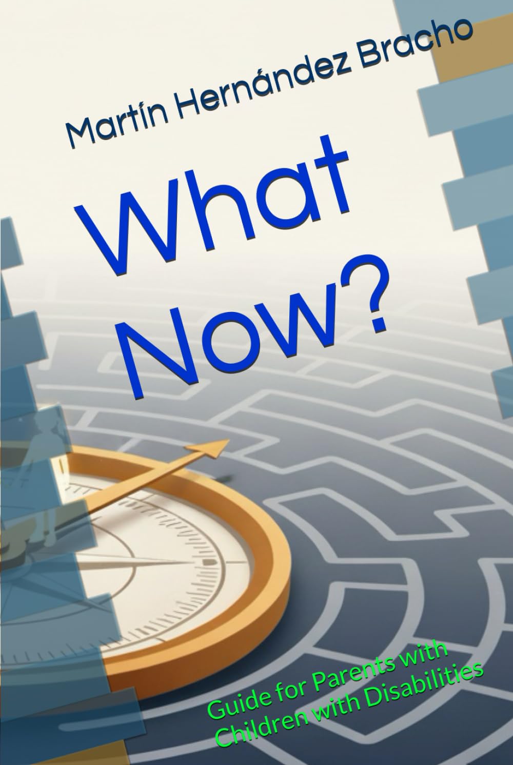 What Now?: Guide for Parents with Children with Disabilities