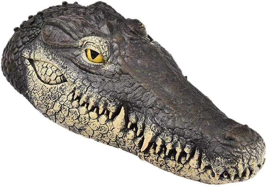 esca per anatra per stagno