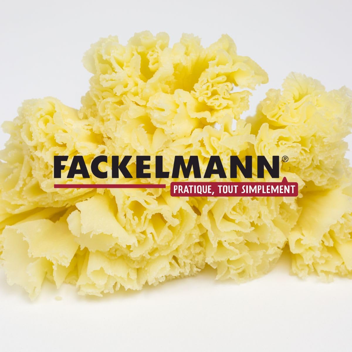 Fackelmann Lot de 2 girolles à fromage avec plateau