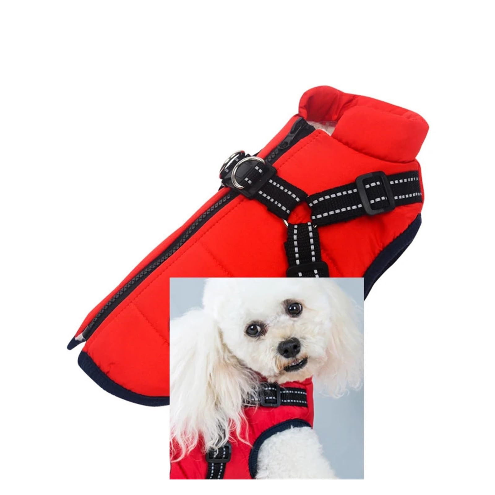Manteau pour petit chien et moyen pour stopper les frissons hivernaux avec veste rouge L