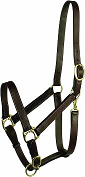 Gatsby Adj Turnout Leather Halter No Snap