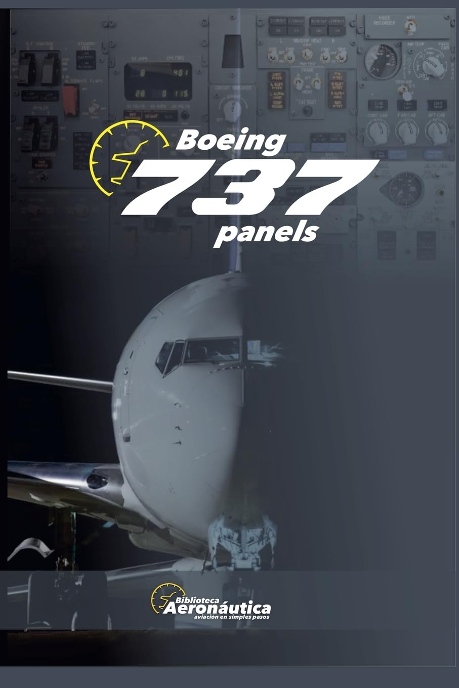 Boeing 737 Panels (Aviation)