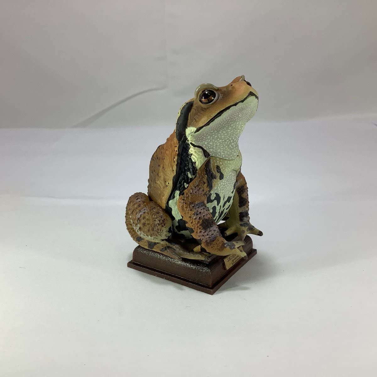 Amazon | 【開封品】 日本のカエル ニホンヒキガエル フィギュア