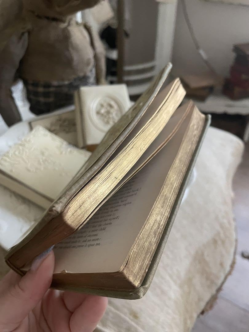 Amazon.co.jp: フランスアンティーク 聖書 セルロイド アイボリー 