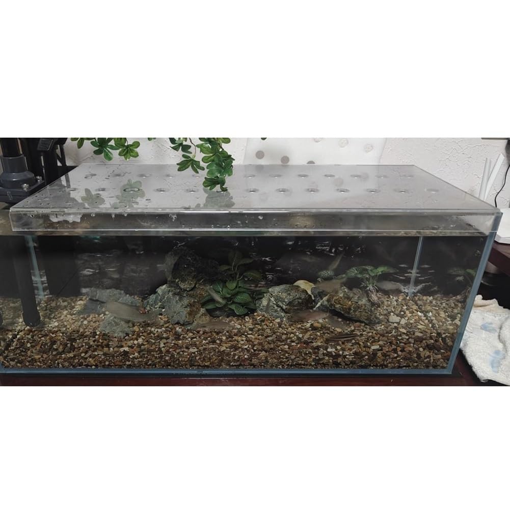 Rygcrud sur Mesure Carré Couvercle pour Aquarium, Couvercle Contre-Fugue pour Aquarium avec Trou D'aération, Panneau en Acrylique Transparent, Empêche Le Chat D'attraper Les Poissons(70x40x3cm)
