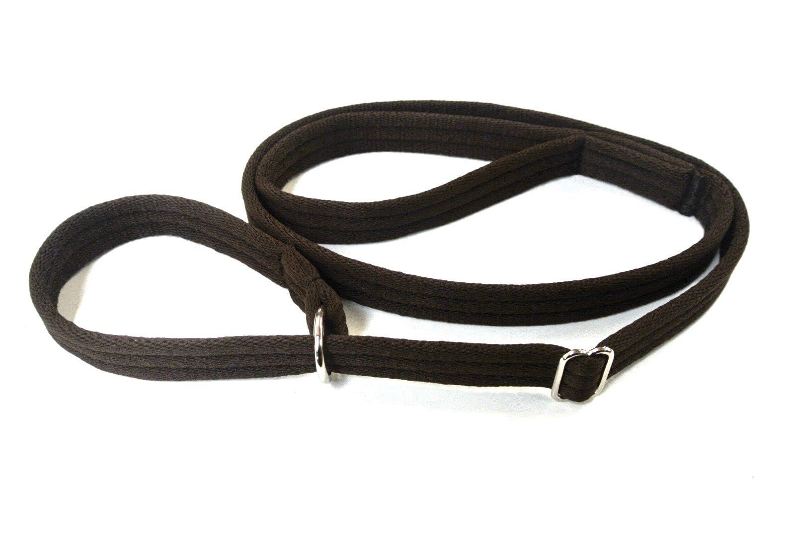 Dog Slip Lead Training Walking Leash 60" Long Obedience Slip On Dog Lead Soft Comfortable Air Webbing In (Brown, 25mm) — image 1