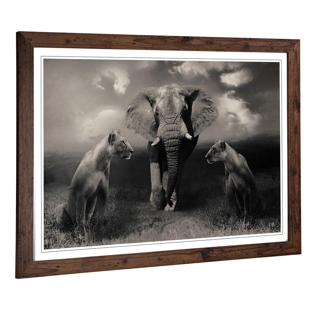 Big Box Art Framed Print of Lion Lionesses and an Elephant Design | Wall Art Picture | Home Decor for Kitchen, Living, Dining Room, Bedroom, Hallway, Office, Walnut, A2 / 24.5x18 Inch / 62x45cm