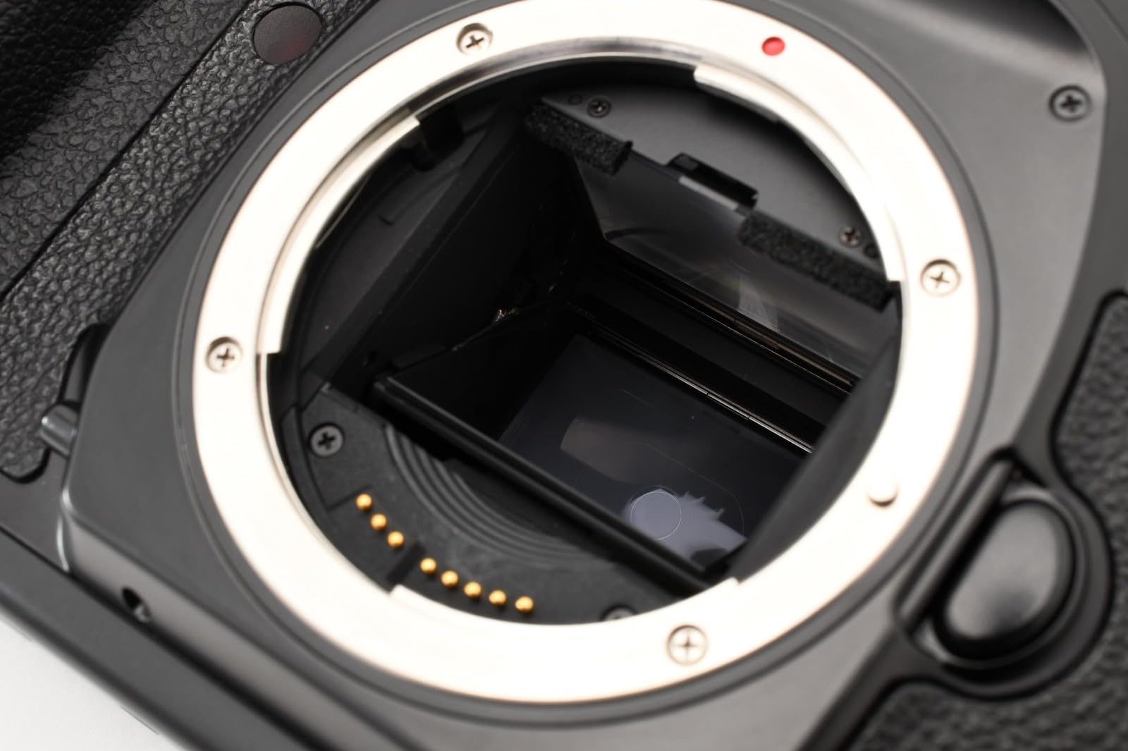 Amazon | Canon EOS-1V HS ボディ | コンパクト 通販