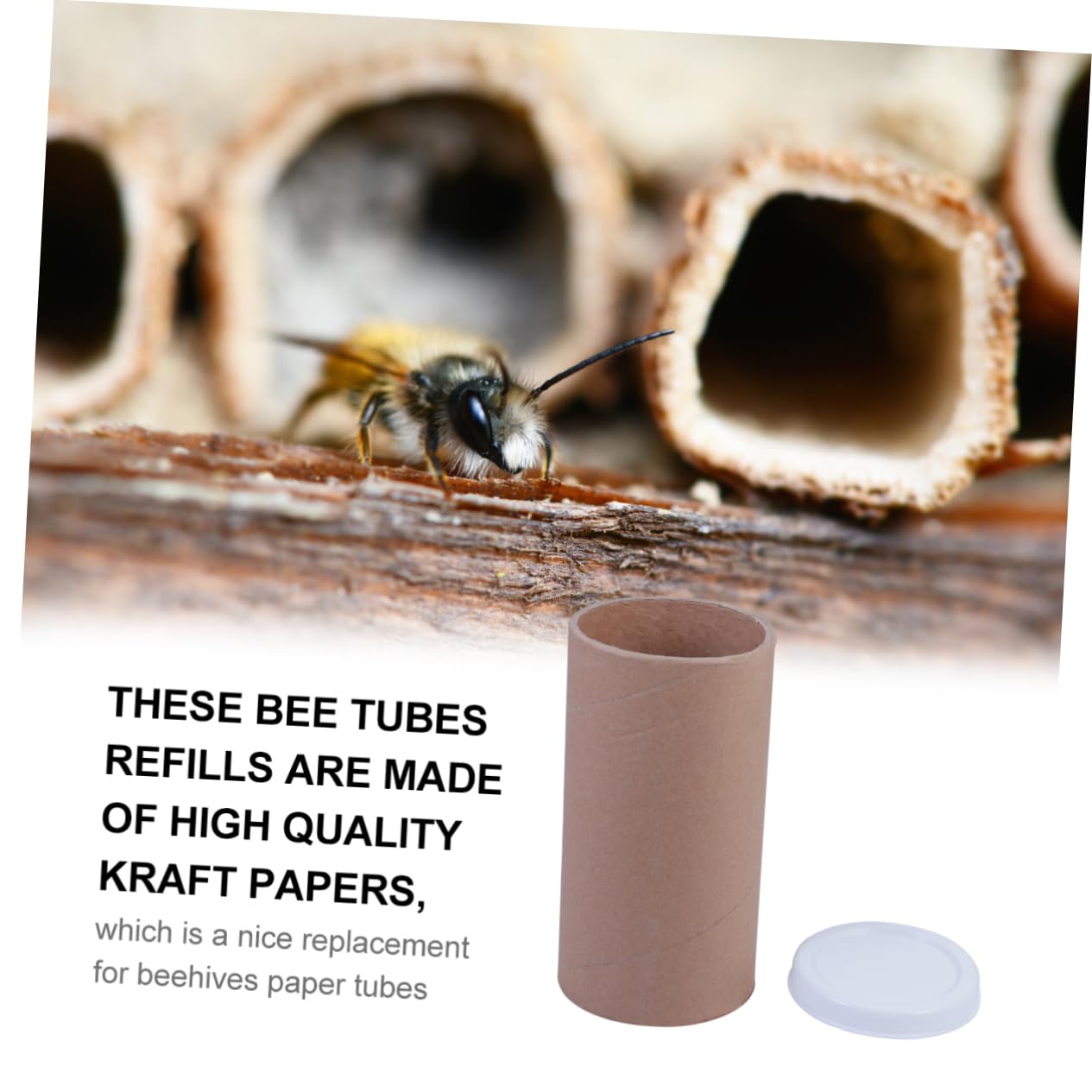 Tubes D’expédition en Kraft 5 Pièces, Tubes en Carton