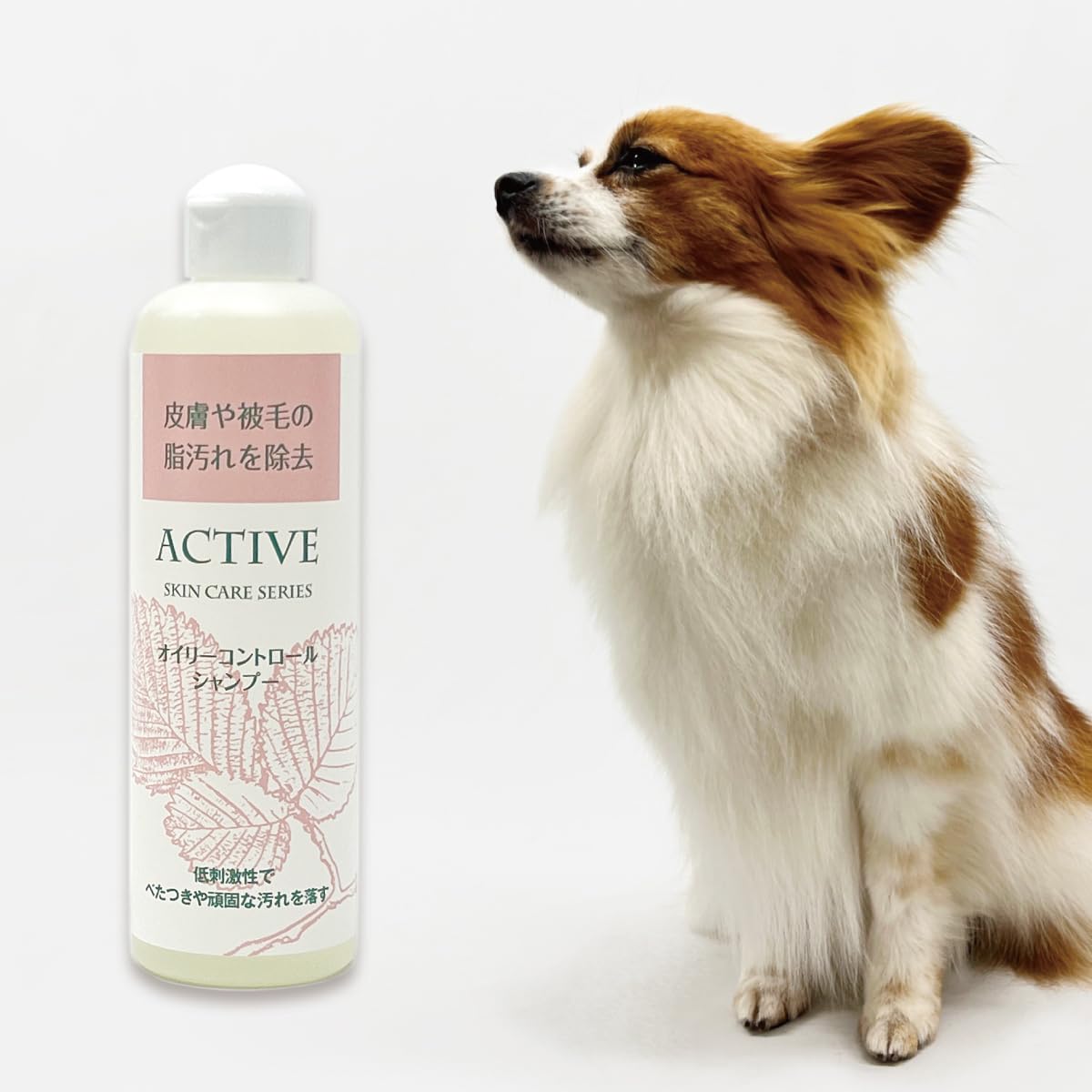 犬用シャンプー　アジル　バイタルシャンプー　オイリーコントロールシャンプー Amazon | 【アジル】オイリーコントロールシャンプー（犬・猫用）低
