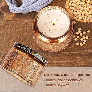 Hummingbirdgiftsforwomenbirthdaygiftsformomsisterdaughterwifeuniqueeastergiftforfriendwomenrotatablescentedcandlesgiftformothersdayanniversarychristmas Urban Country Home Decor Hummingbird gifts for women birthday gifts for mom sister daughter wife unique easter gift for friend women rotatable scented candles gift for mothers day anniversary christmas urban country home decor