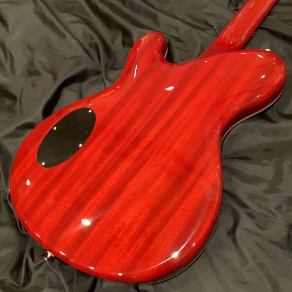 ギター Ryoga CICADA-G2E/HCH Amazon | RYOGA CICADA-G2E Heritage Cherry エレキギター