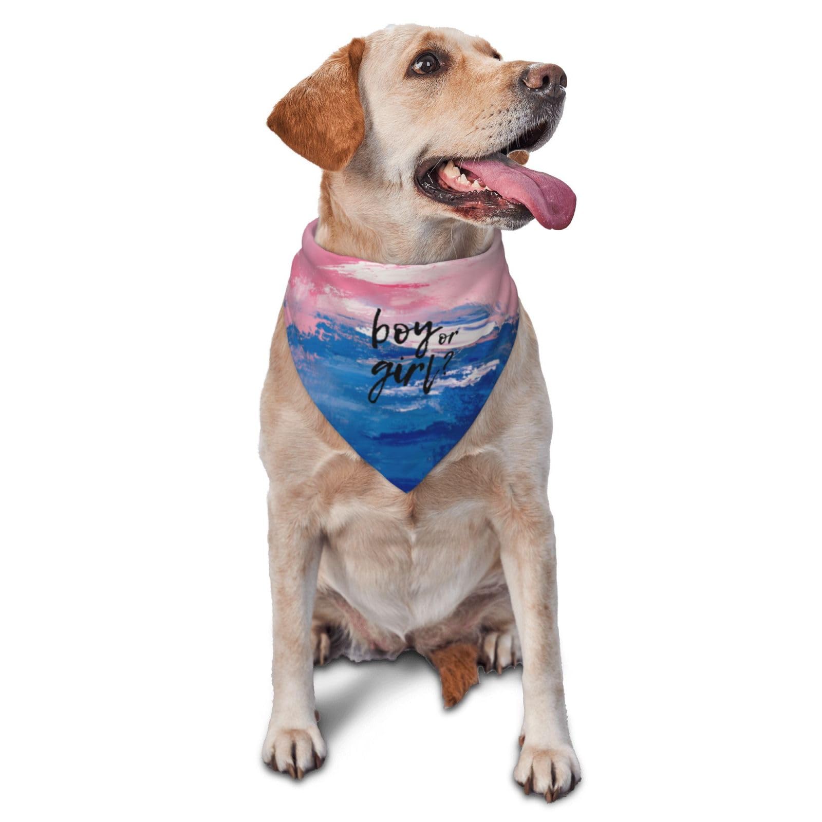 vercosee He Or She What Will It Be? Gender Reveal/Baby Announcement Dog Bandana,Pet Neckerchief for Pets Daily Wear Photo Prop Party Supplies (Oil Paint Style)