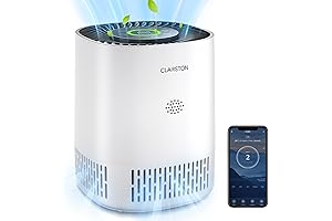 650 Sq. Ft Air Purifier with H13 True HEPA Air Filter