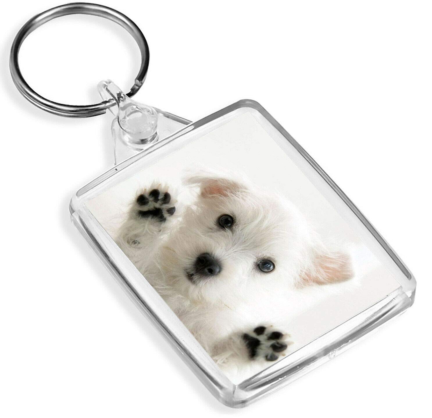 Westie Puppy Keyring West Highland Terrier Dog White Cute Fun Keyring #8954