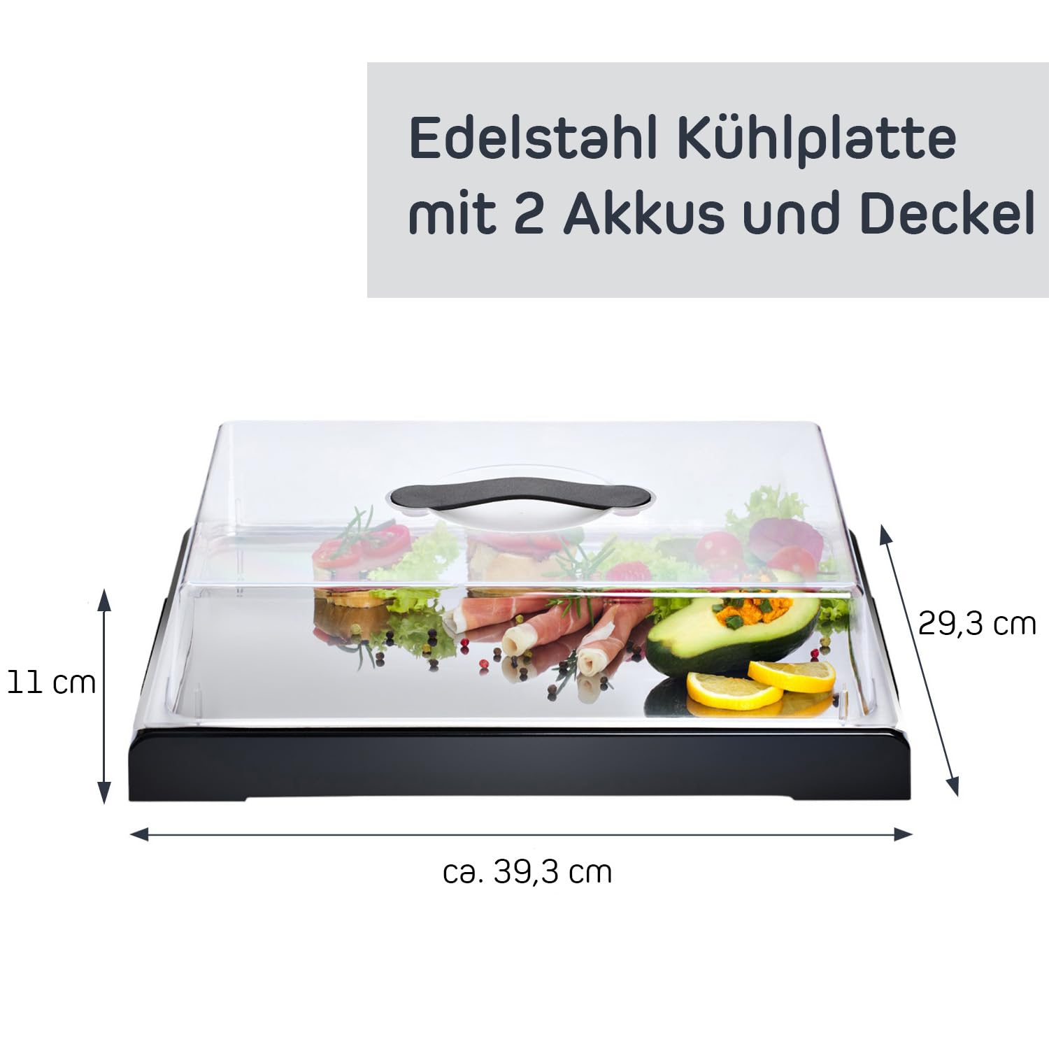 FH Plateau de service avec couvercle - Boîte de transport pour gâteau avec refroidissement, plaque de refroidissement avec couvercle et blocs réfrigérants - En acier inoxydable, jusqu'à 4 heures de
