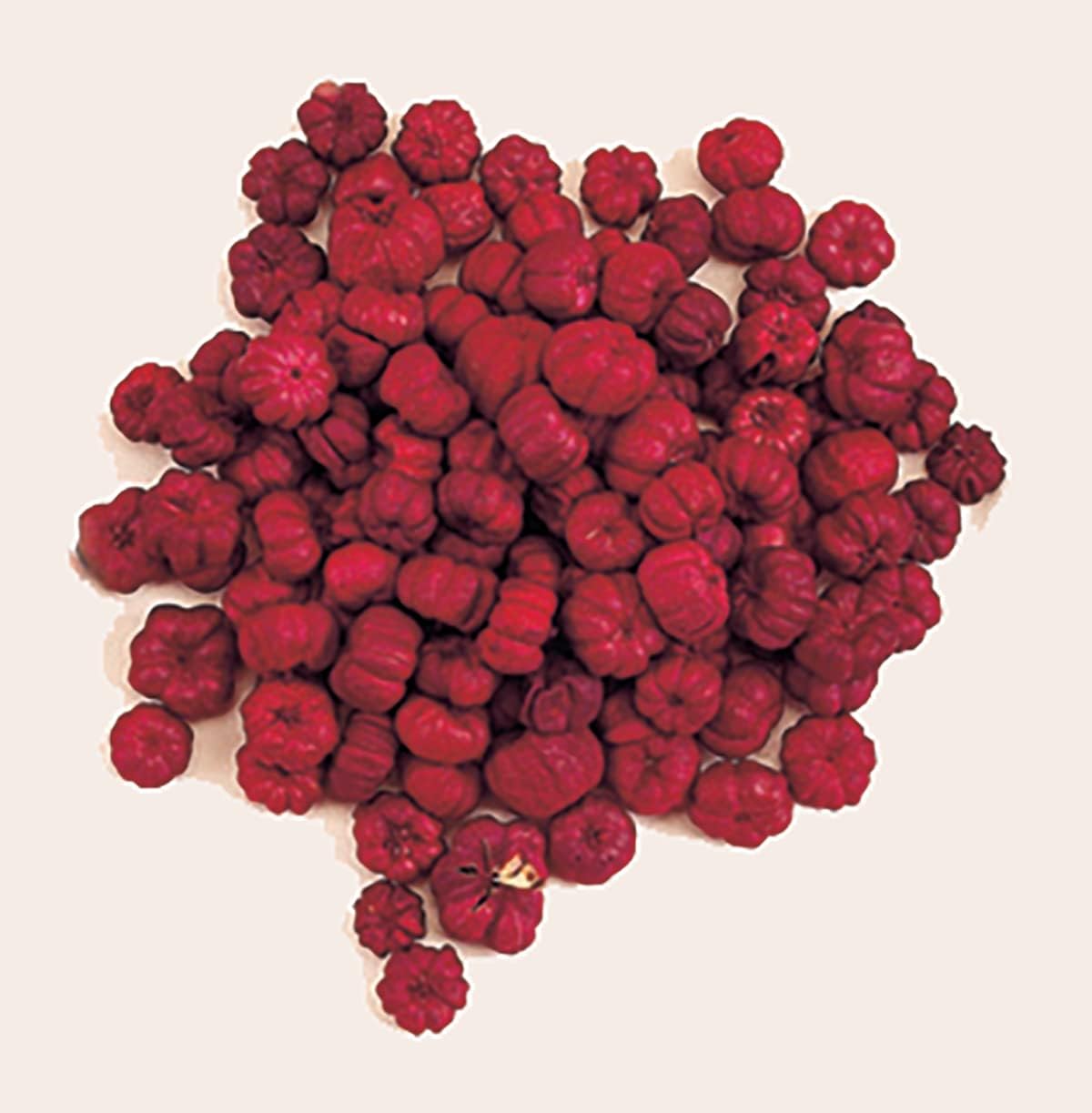 Worth Imports Natural Miniture Red Pumpkin Pods, 3/4 in, Box of 2 LBS, 1LB Equals to 16 Cups