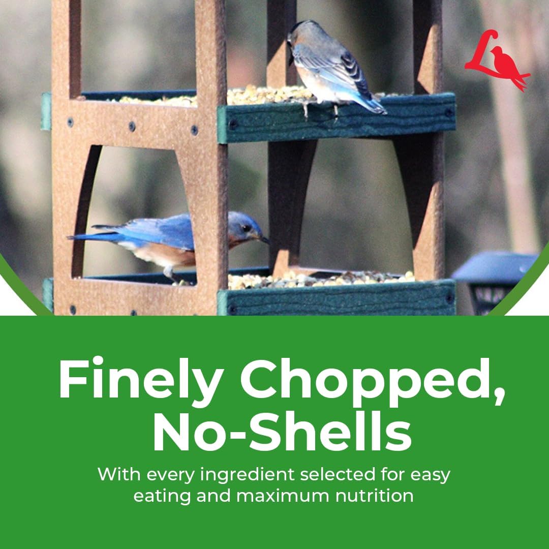 Lyric Fine Tunes Wild Bird Seed Mix - No Waste Bird Food Mix - Attracts Bluebirds, Finches, Chickadees & More - Seed for Outside Feeders - 15 lb Bag