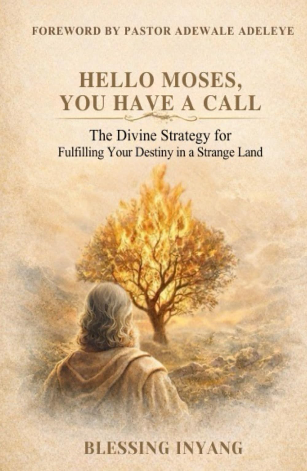 HELLO MOSES, YOU HAVE A CALL: (The Divine Strategy for Fulfilling Your Destiny in a “Strange Land”)