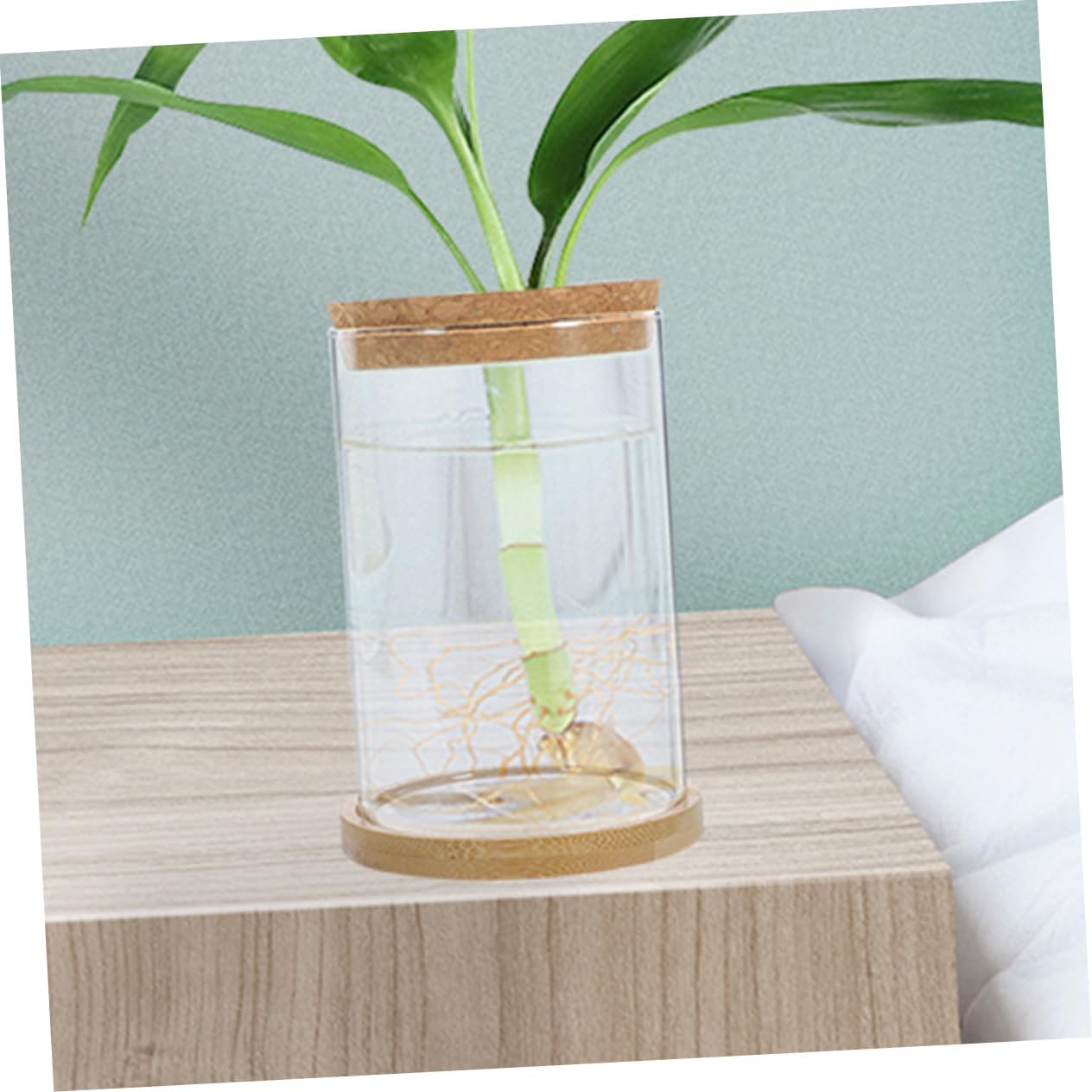 PRETYZOOM 4sets Eco-friendly Bottle Micro Landscape Diy Bottle Decorative for Plants