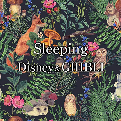 Sleeping Disney & GHIBLI Music Box von Sleeping Music Box bei Amazon